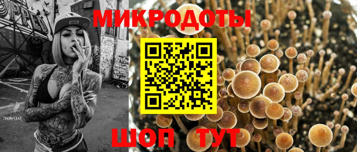 Псилоцибиновые грибы GOLDEN TEACHER  Вход с VPN  Махачкала 