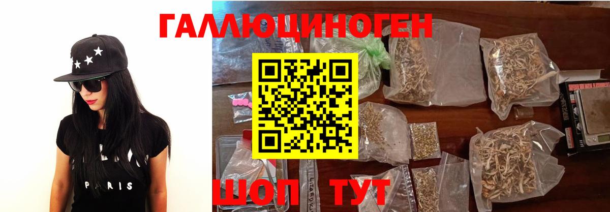 Псилоцибиновые грибы GOLDEN TEACHER Махачкала